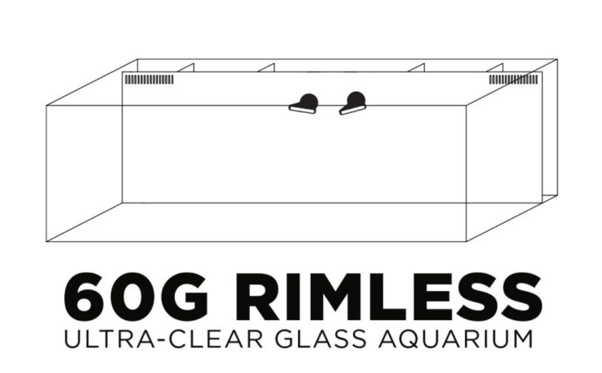 IceCap 60 Gallon AIO Rimless Glass Aquarium with gabinet