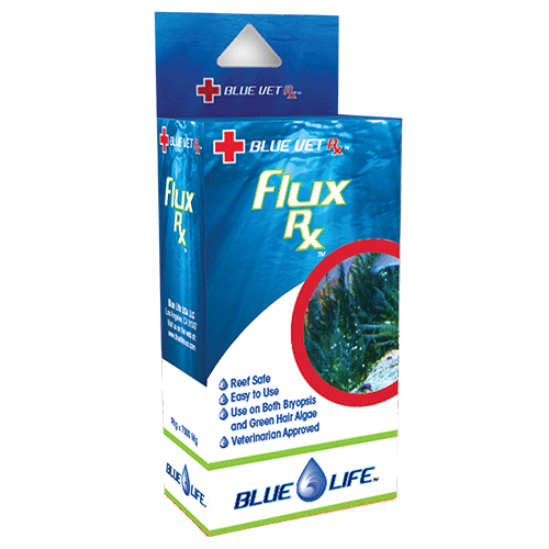 Blue life Flux RX 2gm