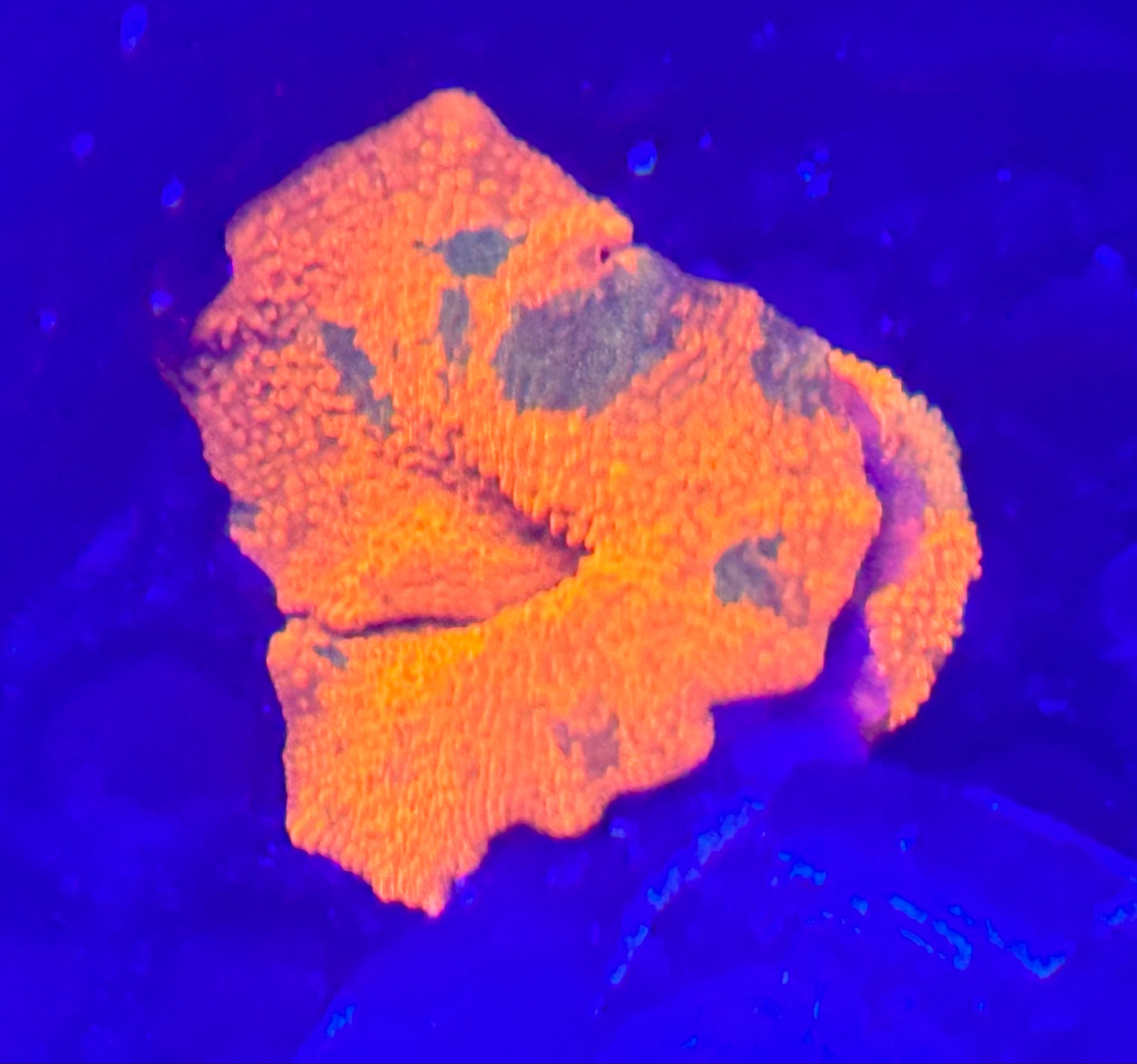 Ultra color Candy Crush Jawbreaker