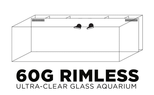 IceCap 60 Gallon AIO Rimless Glass Aquarium with gabinet