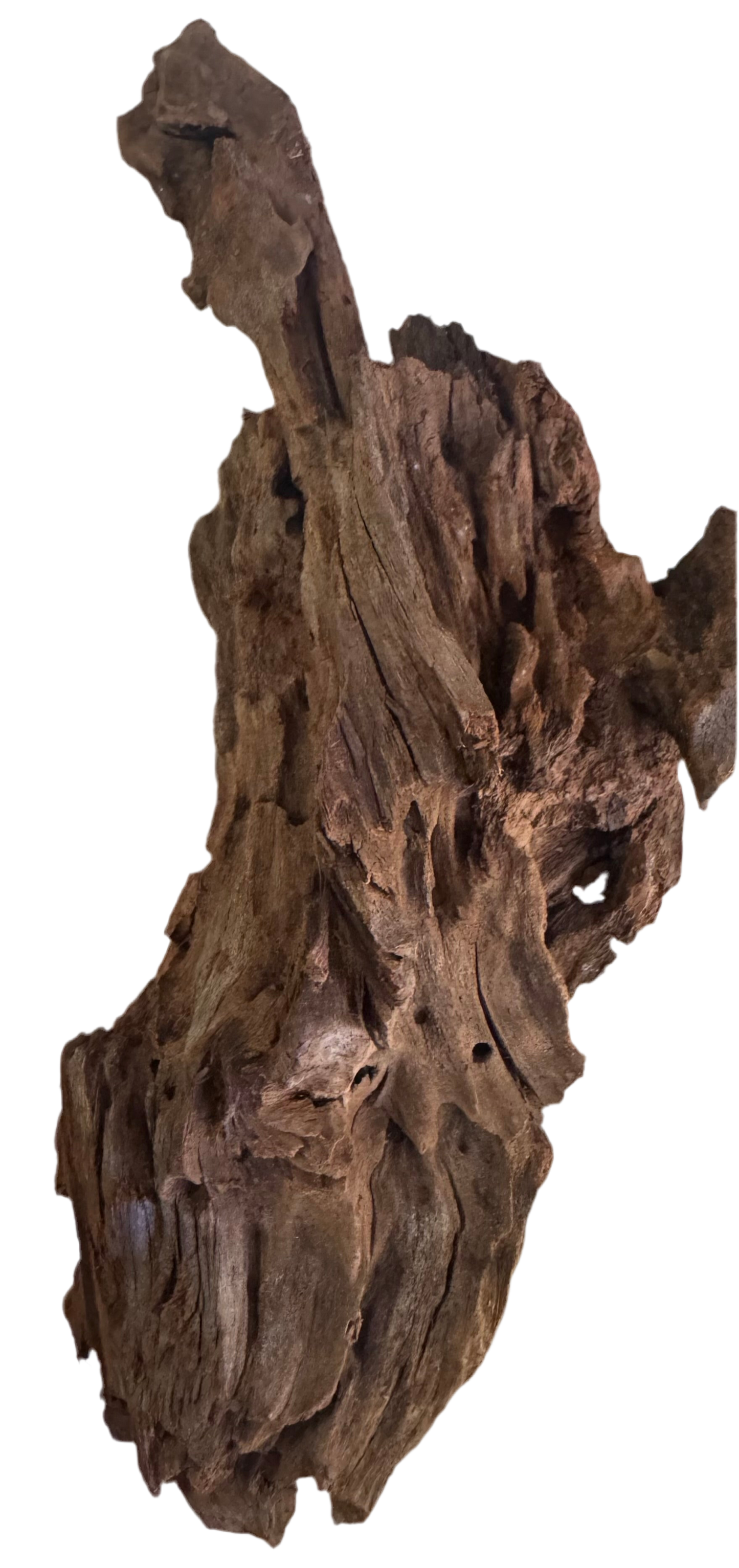 Malaysian Driftwood 6”-9”