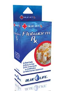 Blue life Flatworm RX