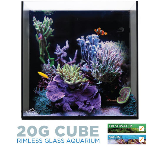 IceCap 20 Gallon Cube AIO Rimless Glass Aquarium