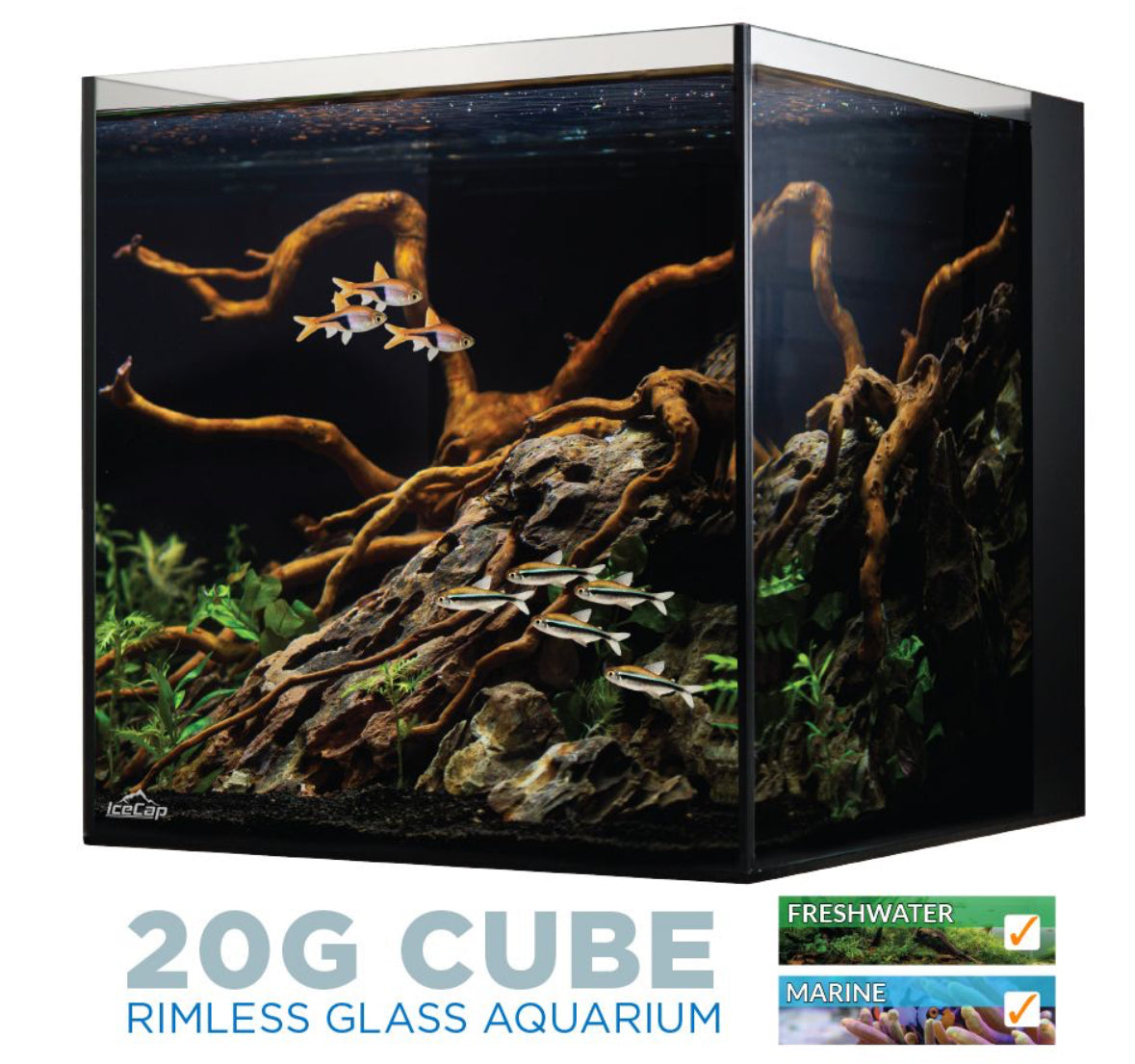 IceCap 20 Gallon Cube AIO Rimless Glass Aquarium