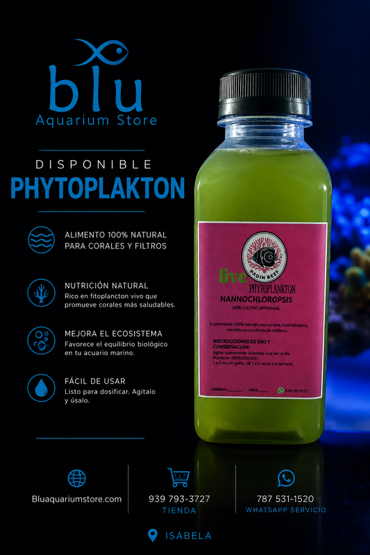 Live Phytoplakton