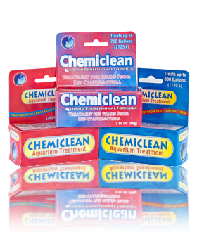 Boyd ChemiClean 2gm