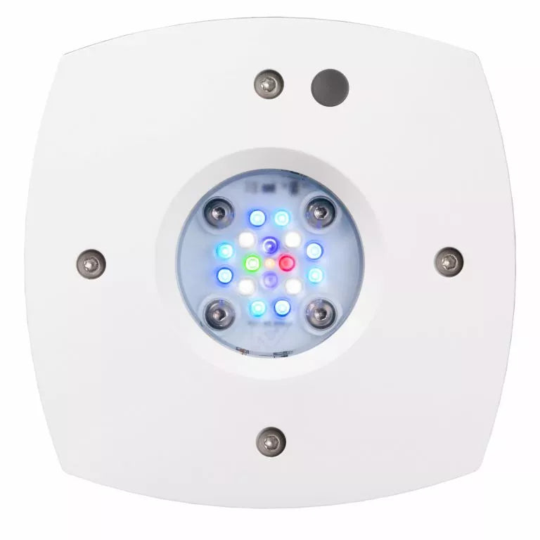 AquaIllumination Prime 16 HD LED Reef Light white body