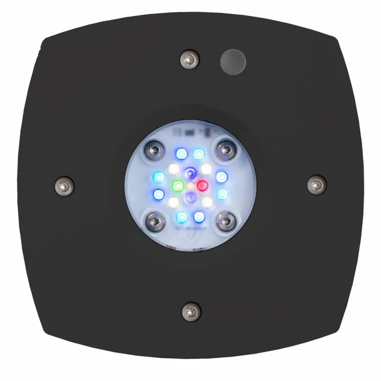 AQUAILLUMINATION
Prime 16 HD LED Reef Light - Black or white body